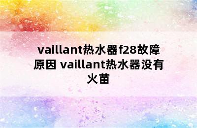 vaillant热水器f28故障原因 vaillant热水器没有火苗